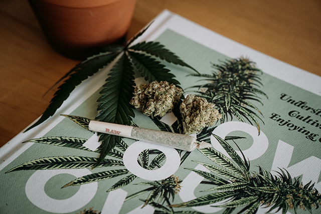 marijuana on a table - business basics of cannabis